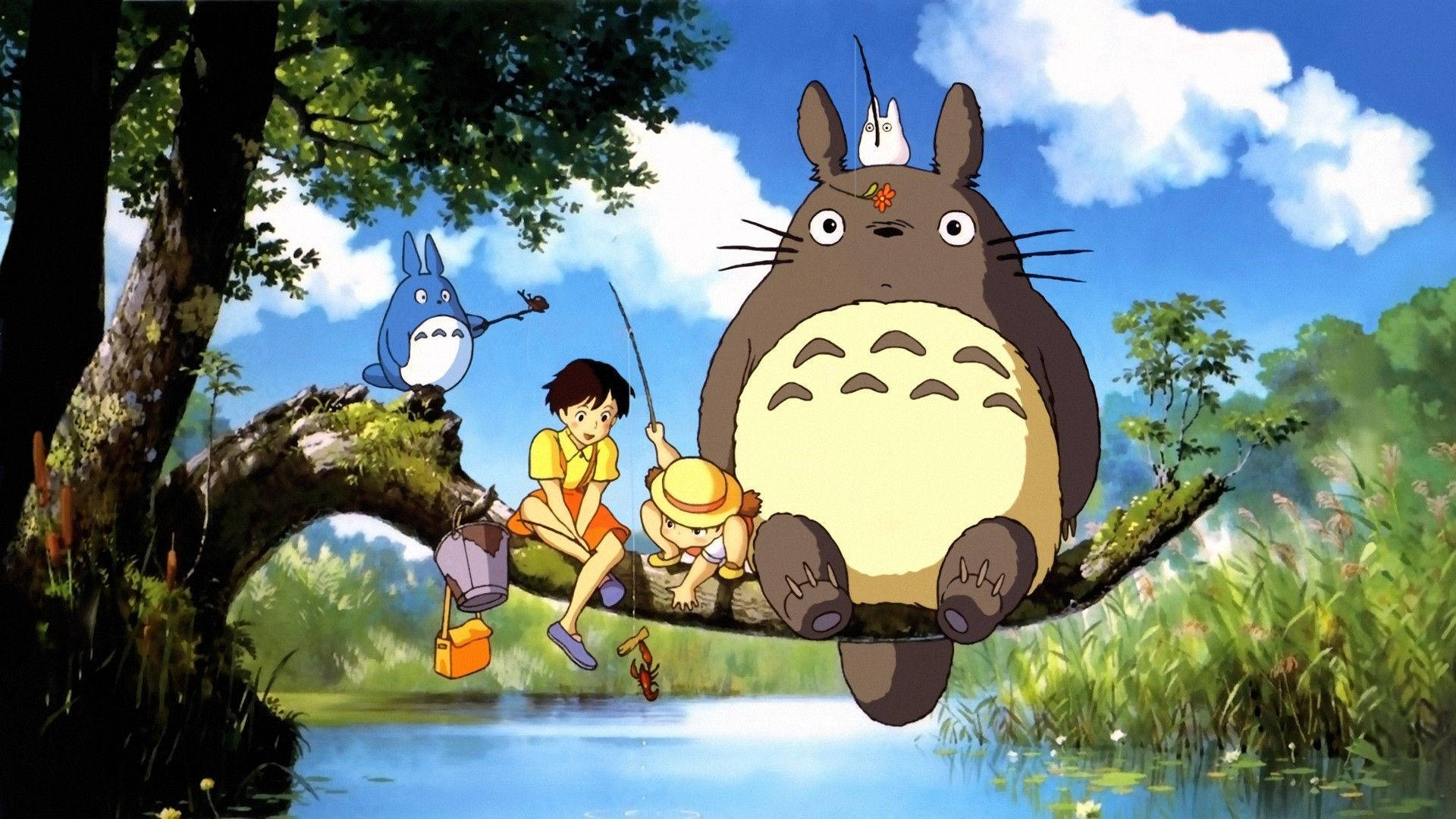 Collection Totoro
